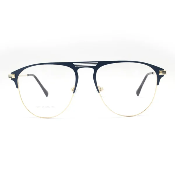 Transition Glasses - 2302
