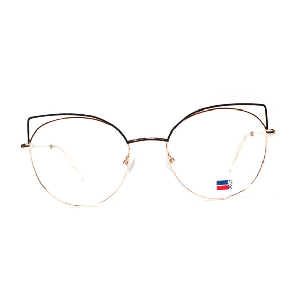SK6900 Frame