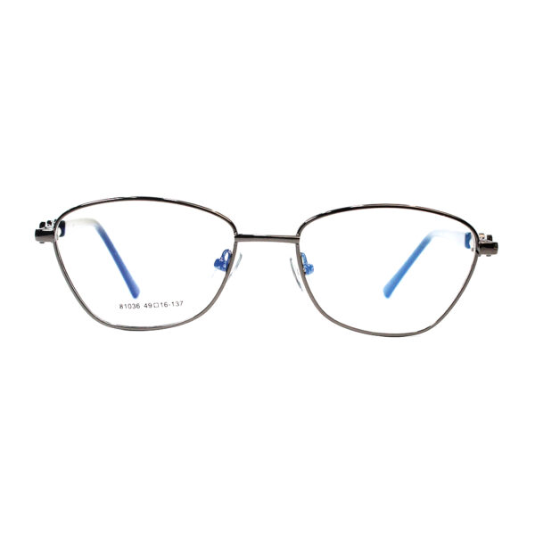 81036 Frame