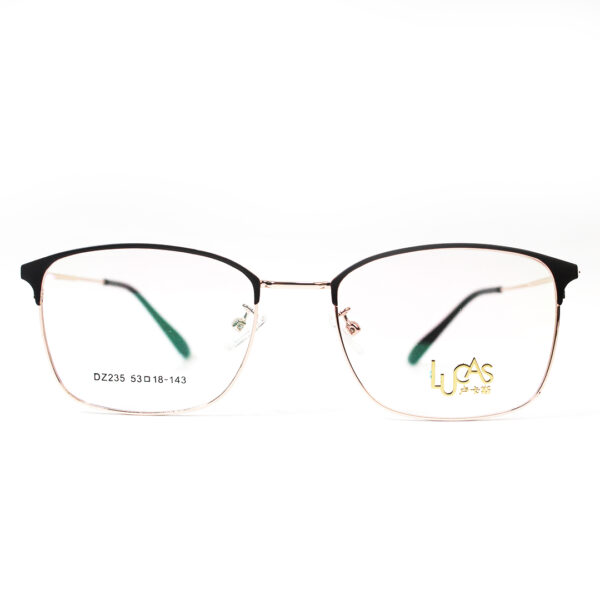 DZ235 Screen Glasses