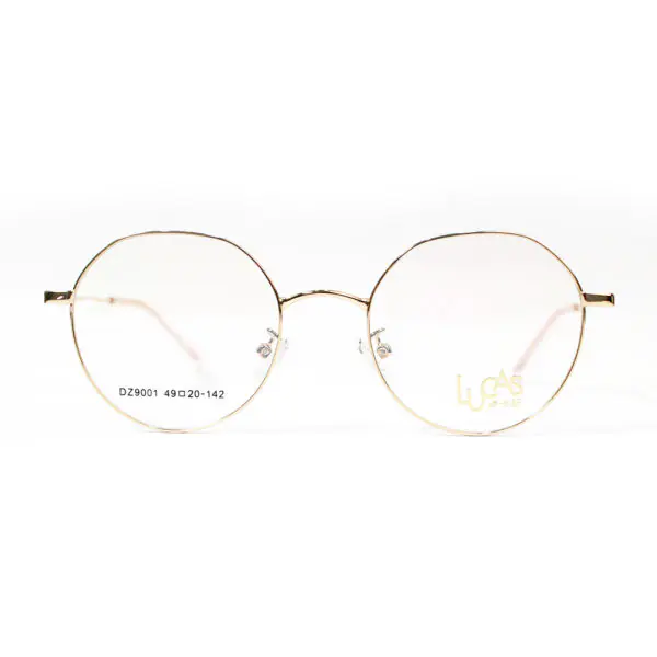 JN Glasses Female Frame DZ9001