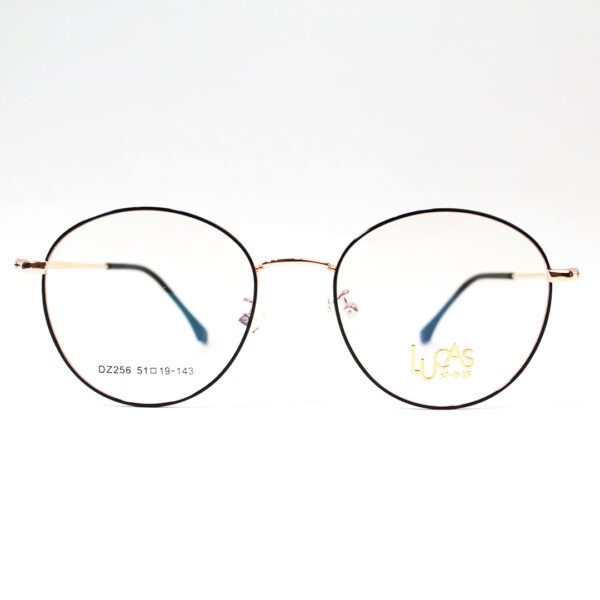 DZ256 Intelligent Glasses