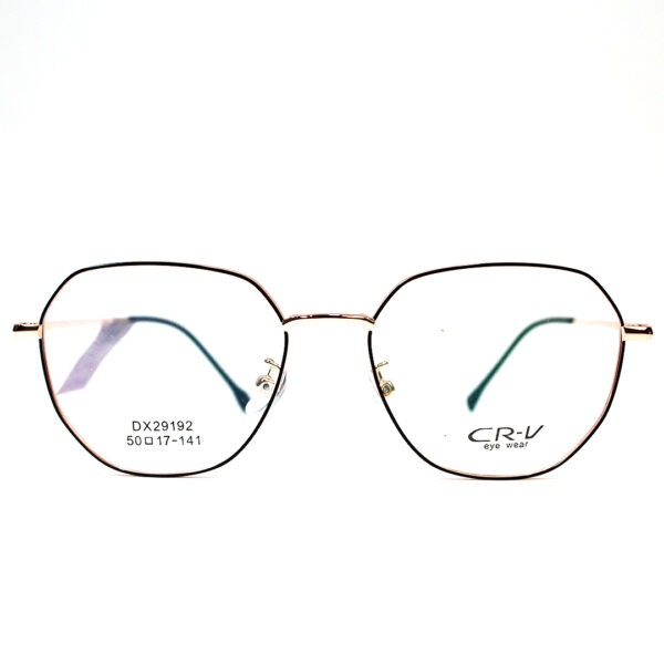 DX29192 Frame