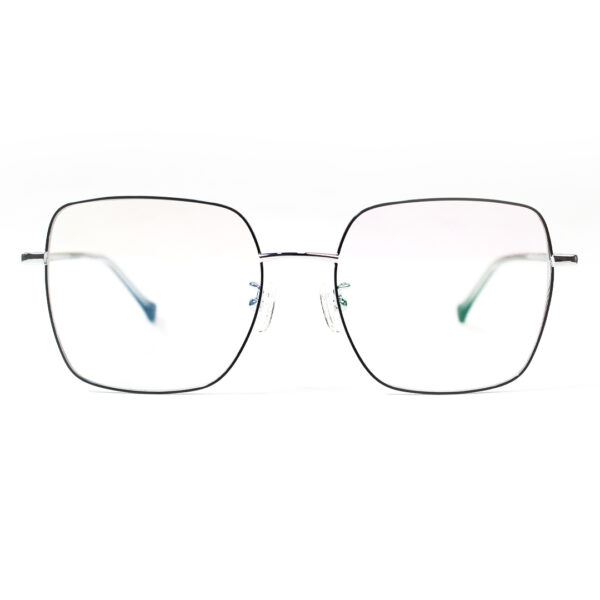 S11228 Frame