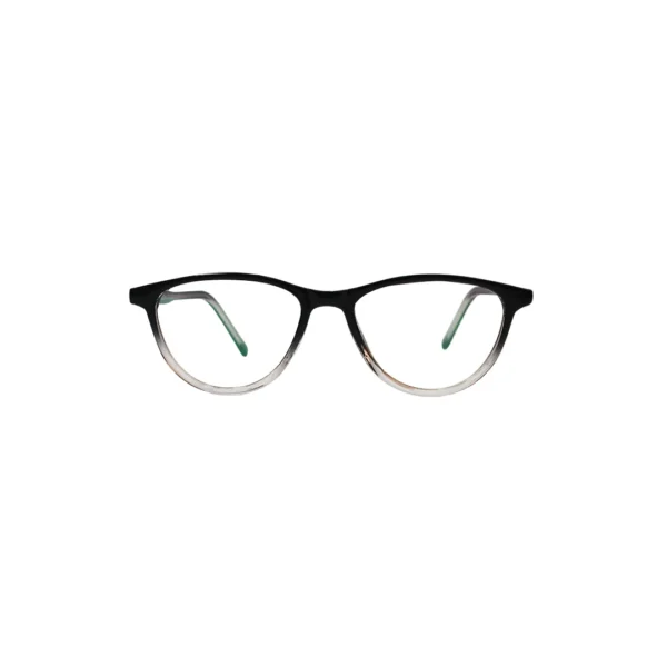 TT2070 Screen Glasses