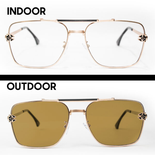 Full Frame Transition Brown Sunglasses - 5009 Golden