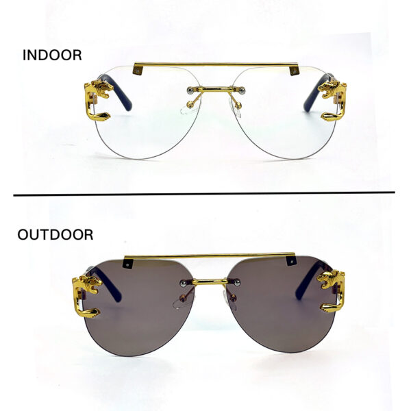 Frameless Transition Brown Sunglasses – S009