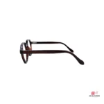 tr62012 glasses in brown — side view