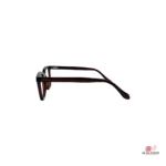 tr62013 glasses in brown — side view