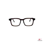 tr62016 glasses in brown — front view