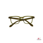 tr62016 glasses in green — back view